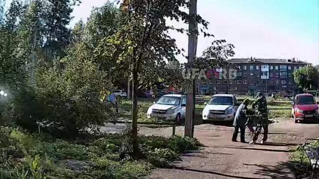 Жителя Башкирии будут судить за избиение чужой собаки