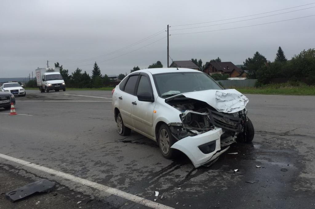 В Башкирии водитель пожертвовал автомобилем, чтобы спасти лося