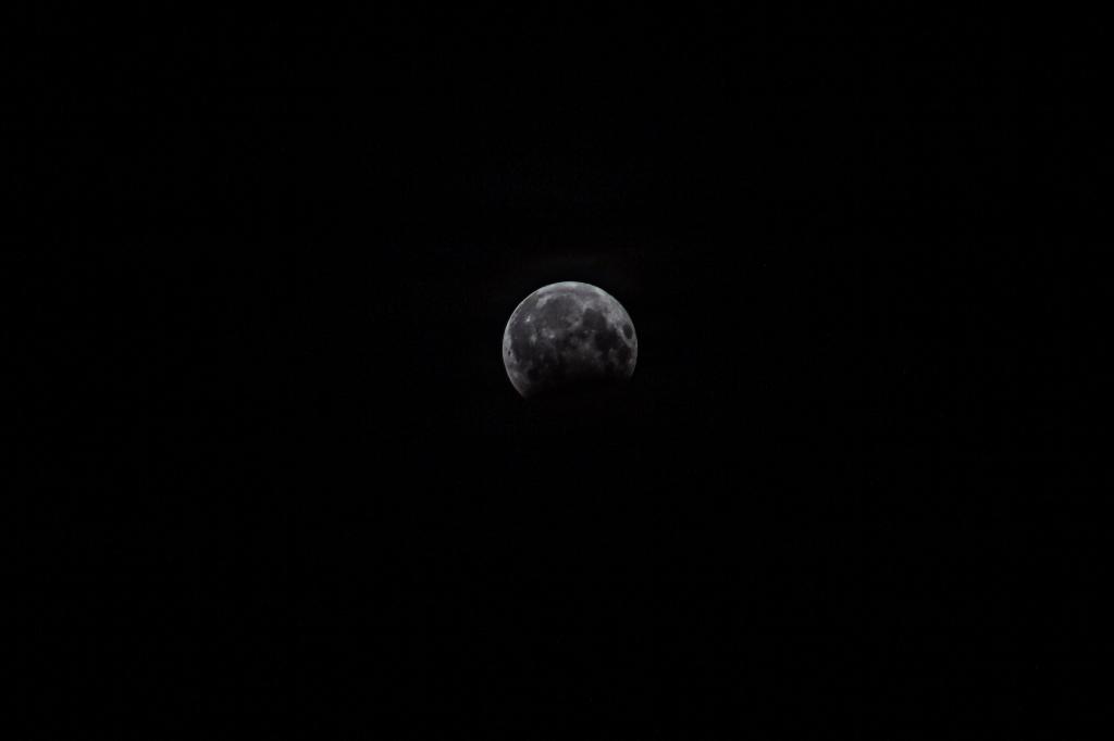 Жители Башкирии смогут бесплатно посмотреть на Луну в телескоп
