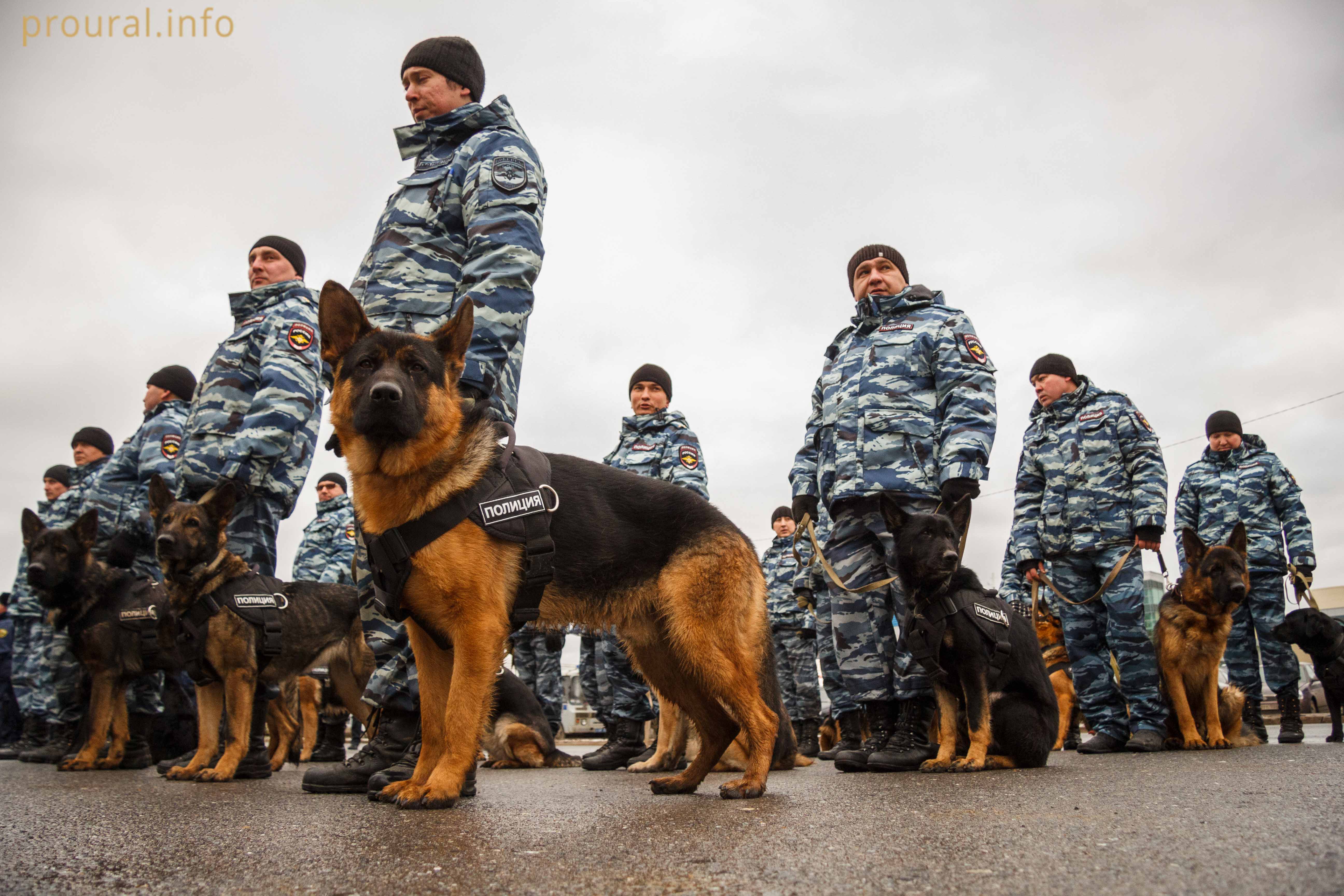  В Уфе прошел строевой смотр и развод всех патрульно-постовых нарядов столичного  гарнизона полиции 