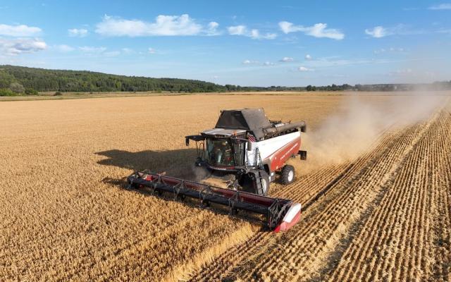 Башкирия преодолела рубеж в миллион тонн зерна нового урожая Башкирия преодолела рубеж в миллион тонн зерна нового урожая