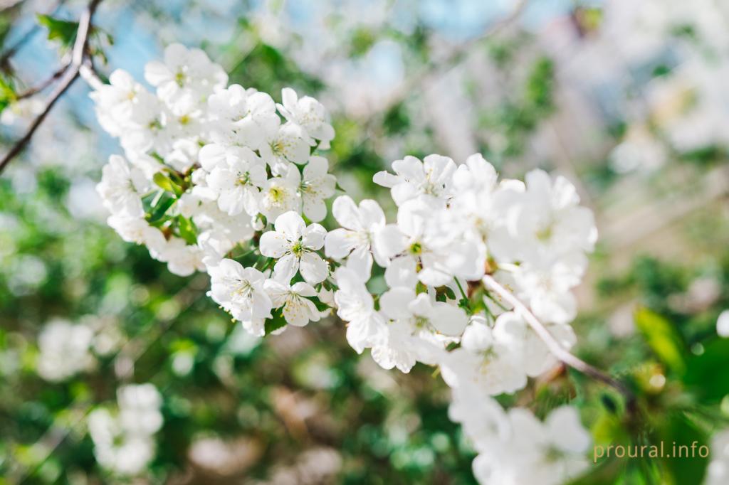 В Башкирии потеплеет до +29 °С