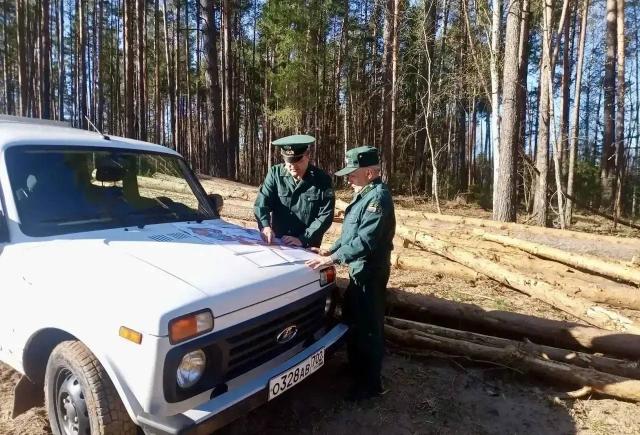 В Башкирии с начала года произошло 14 лесных пожаров В Башкирии с начала года произошло 14 лесных пожаров