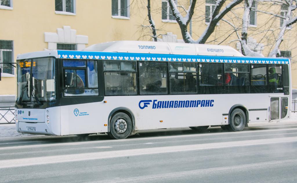Купить Билет Уфа Раевка Башавтотранс