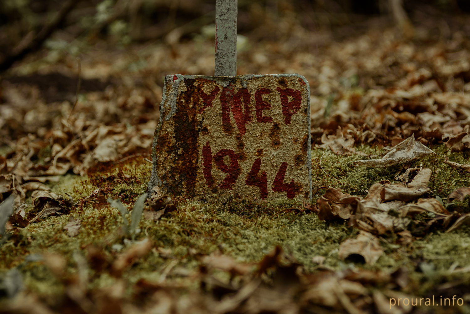 Тот, кто забыт: фоторепортаж с заброшенного кладбища в Уфе, где похоронены участники Великой Отечественной войны
