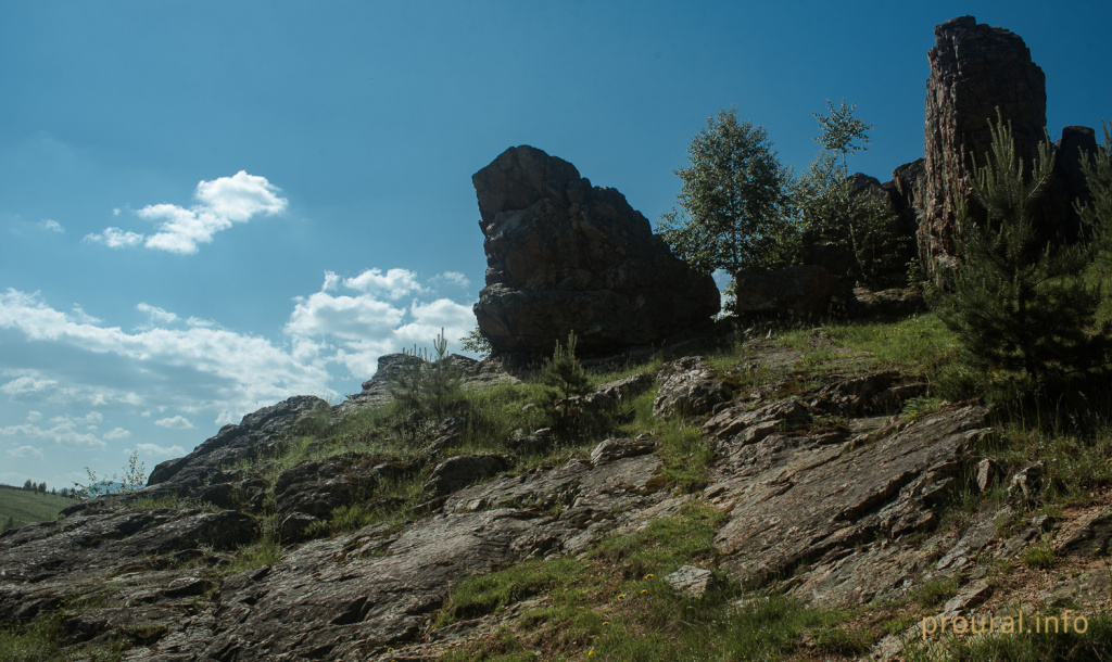 DSC_9327-2.jpg