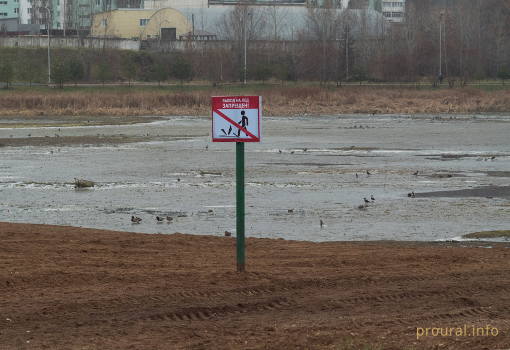 P1000360.jpg