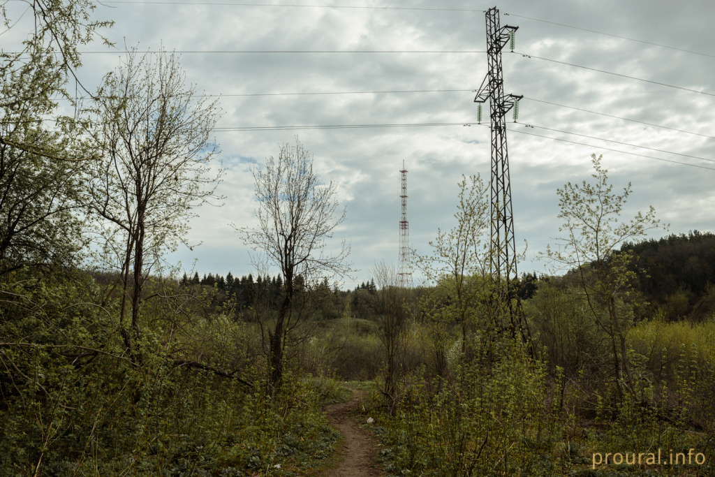 DSC_7109.jpg