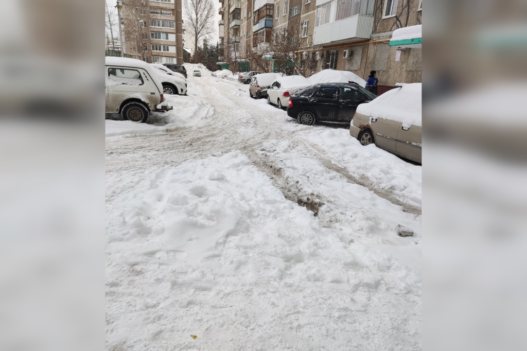 снег 8.jpg