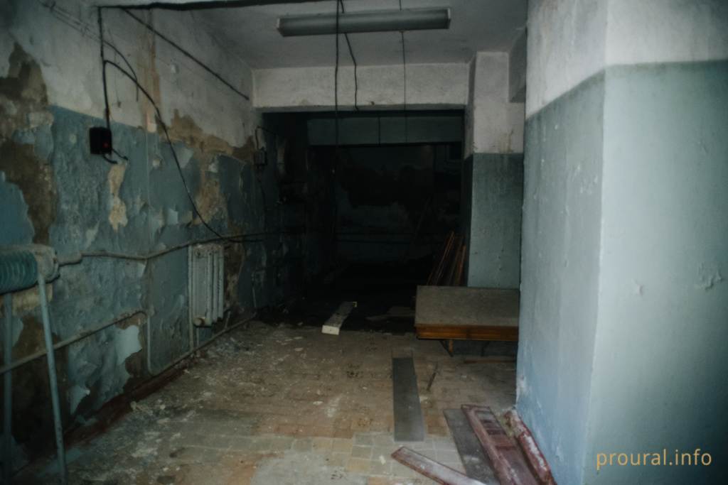 DSC_6565.jpg