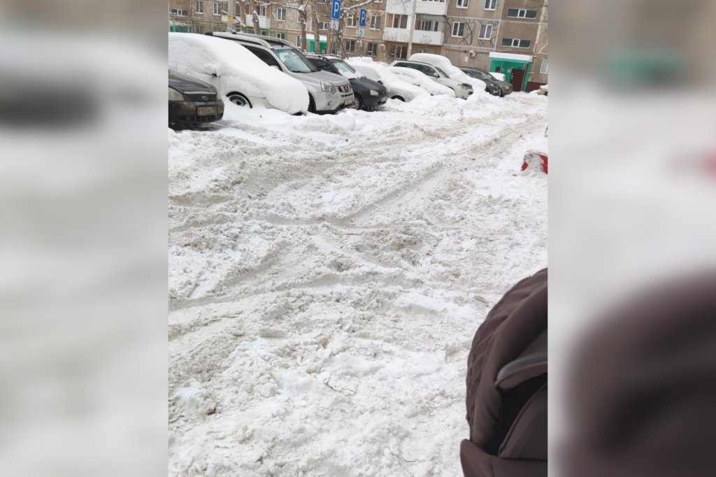 снег 8а.jpg