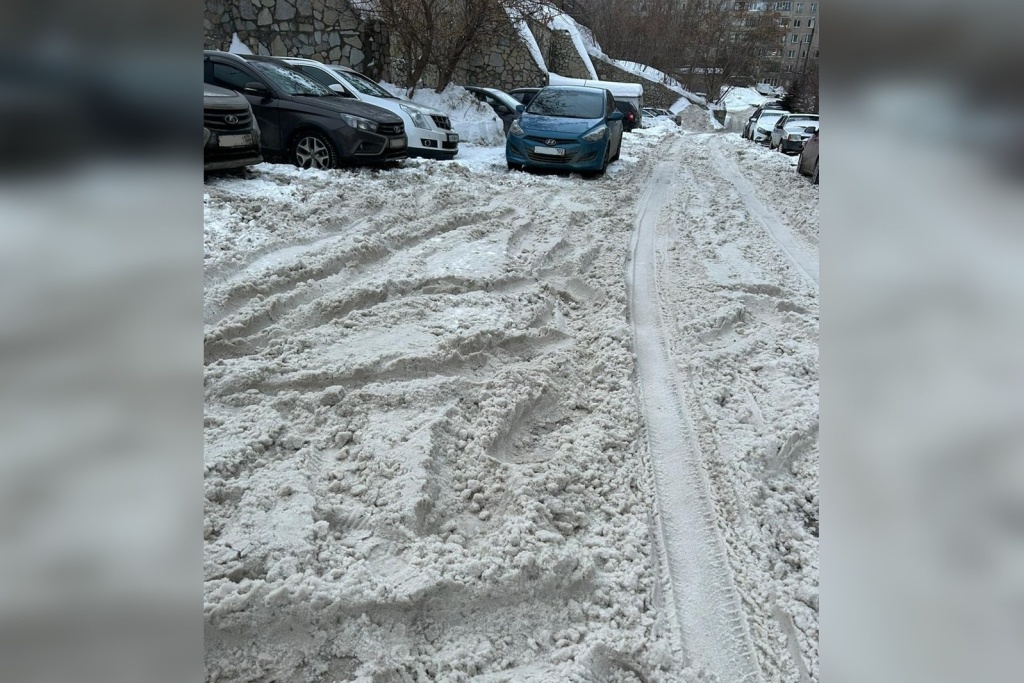 снег 4.jpg