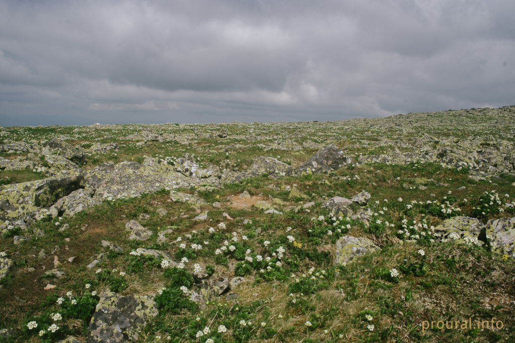 DSC_9239.jpg