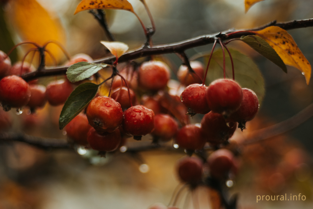 DSC_8337.jpg