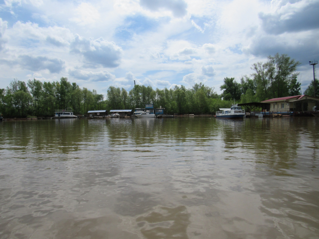 IMG_3559.JPG