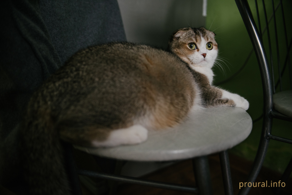 DSC_1320.jpg