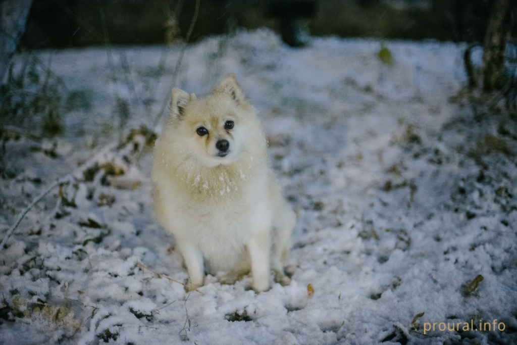DSC_9798.jpg