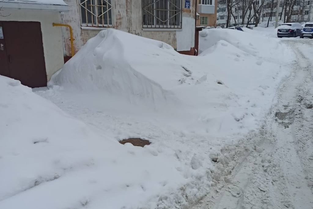 снег 2.jpg