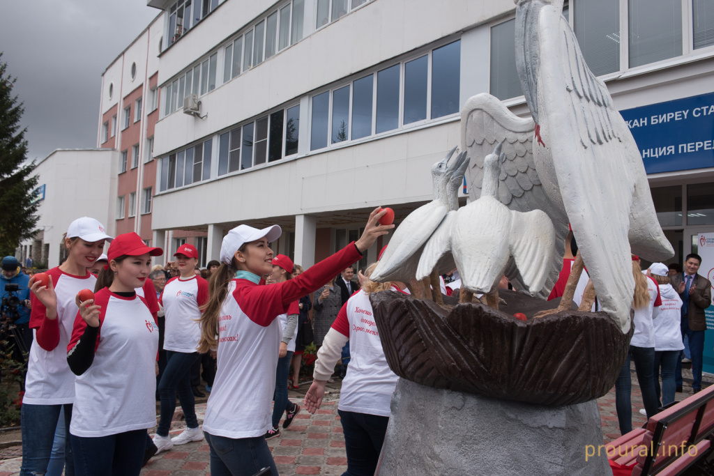 DSC_1352.jpg