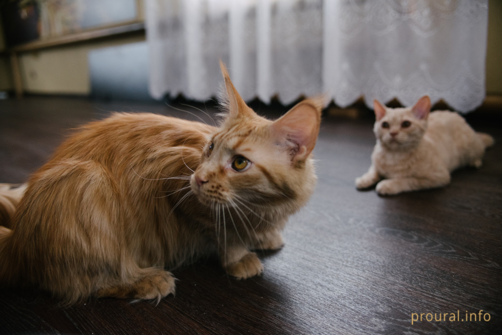 DSC_1488.jpg