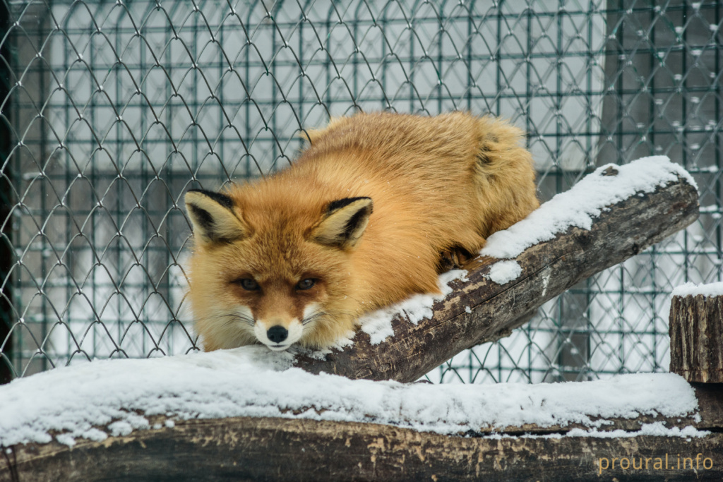 DSC_9662.jpg