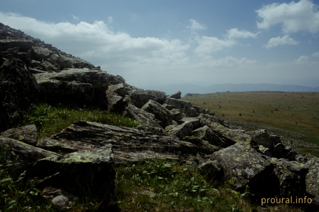 DSC_9217.jpg