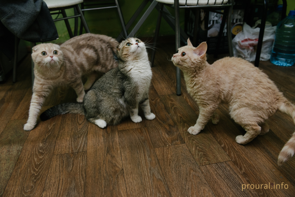 DSC_1310.jpg