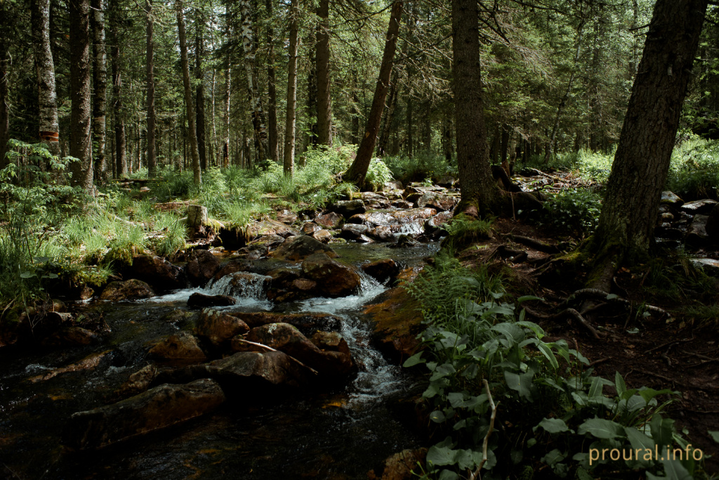 DSC_9143-2.jpg