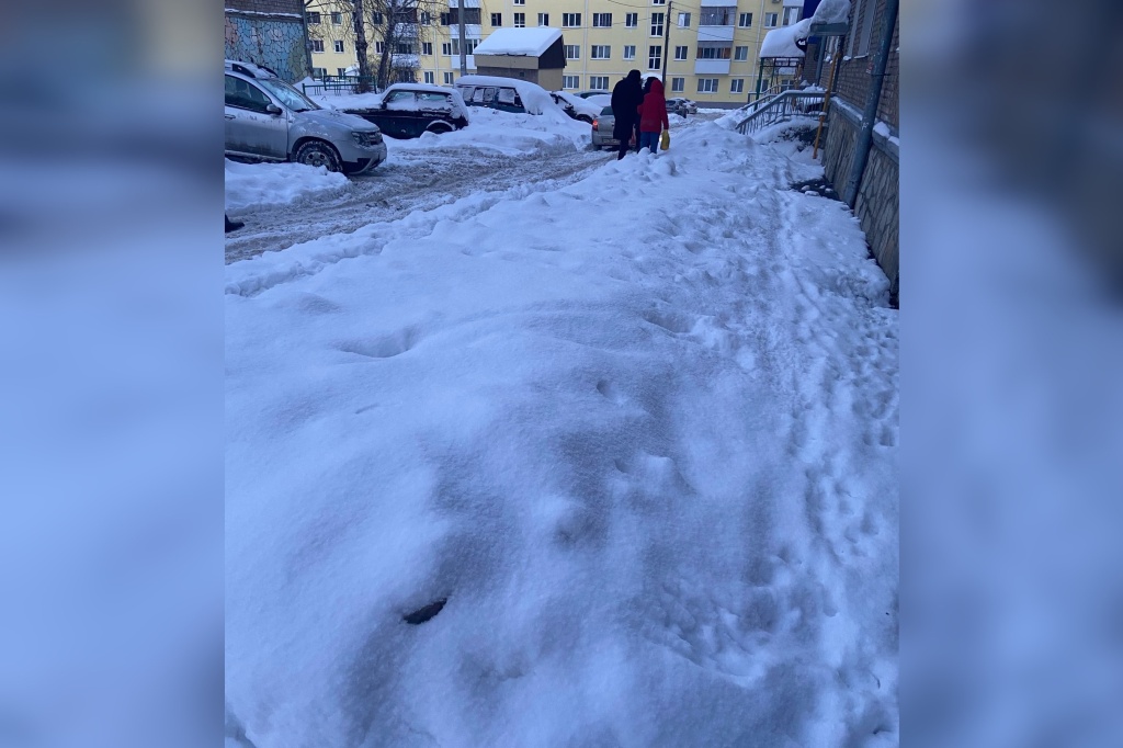 снег 9.jpg