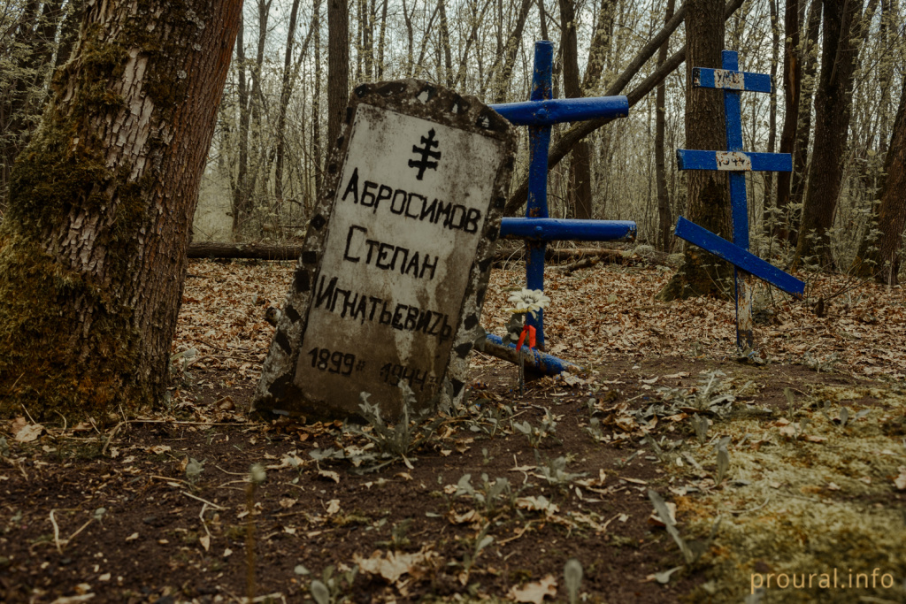DSC_7138.jpg