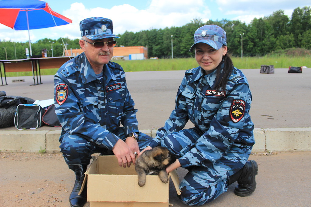 щеня1.JPG