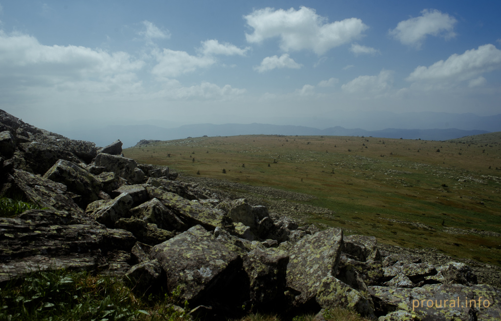 DSC_9216.jpg