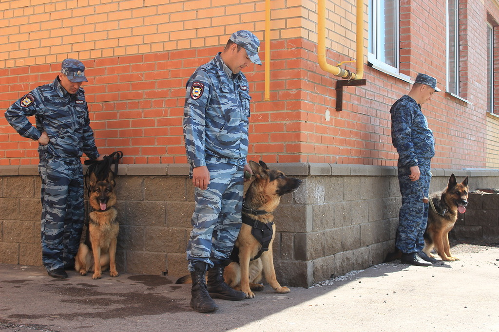 щеня4.JPG