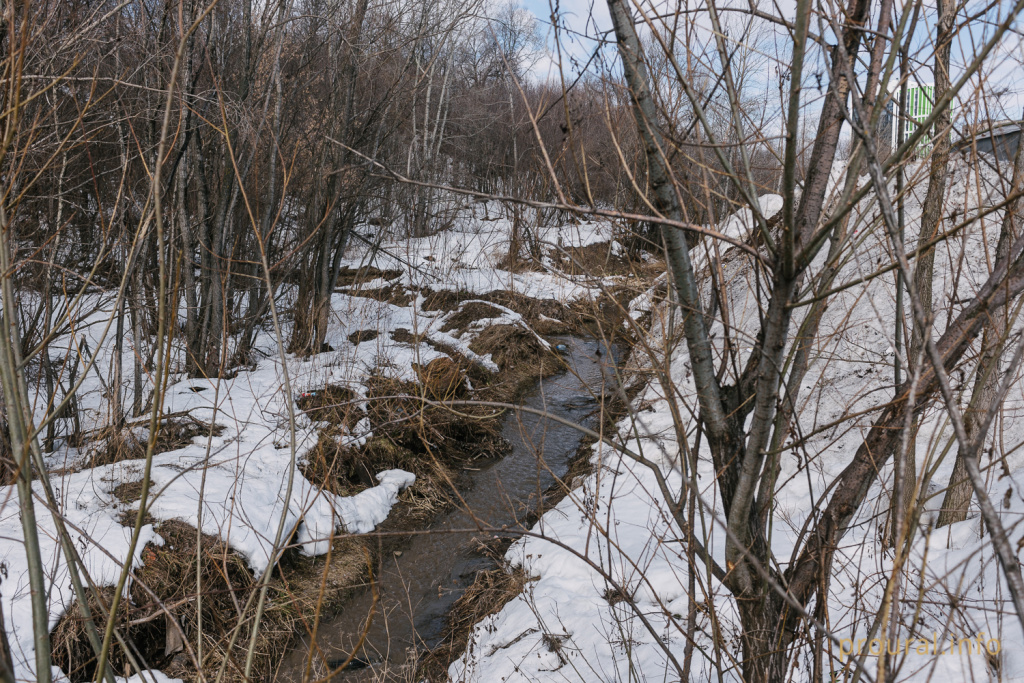 DSC_5999.jpg