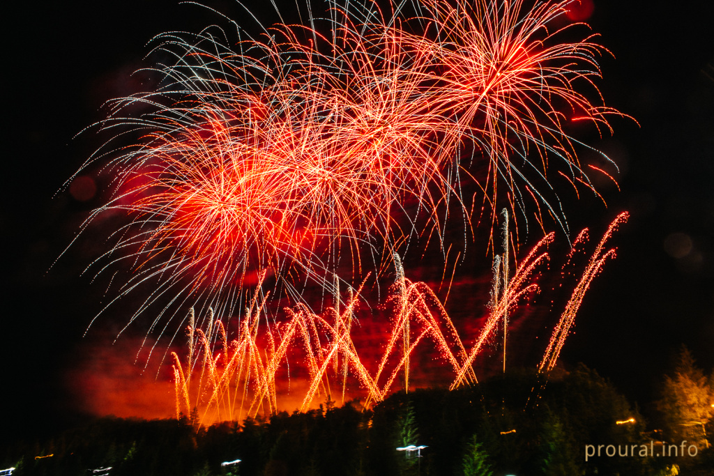 DSC_3740.jpg DSC_3740.jpg