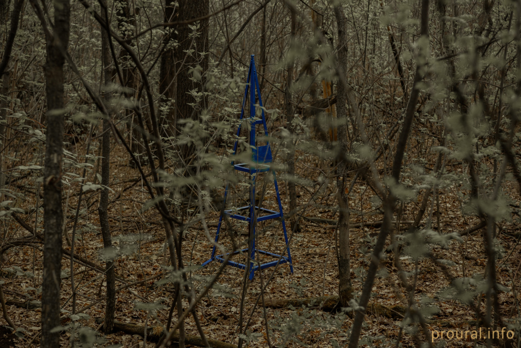 DSC_7220.jpg