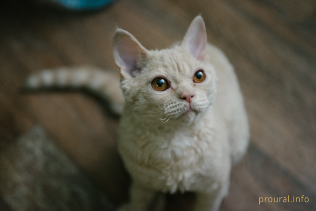 DSC_1330.jpg