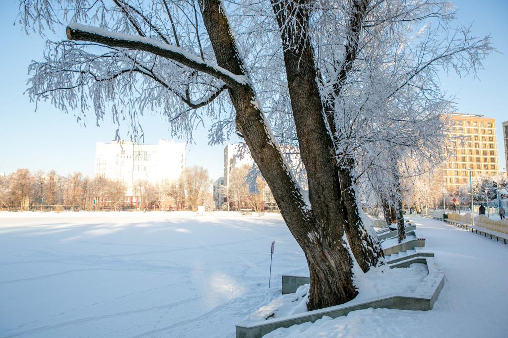 93ae1a5hpiim8037zd9gls7z7hvm4l5u (1).jpg