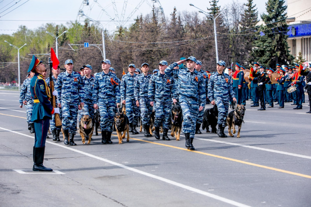 ДП 17.jpg ДП 17.jpg