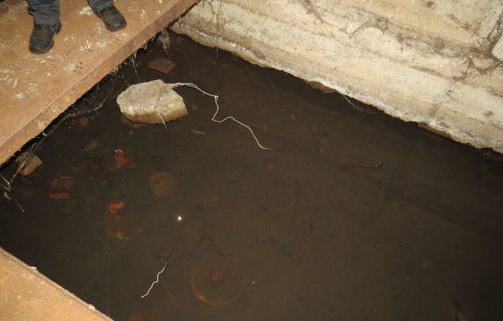 s1200 (4).jpg s1200 (4).jpg