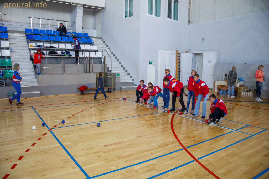 IMG_5895.jpg