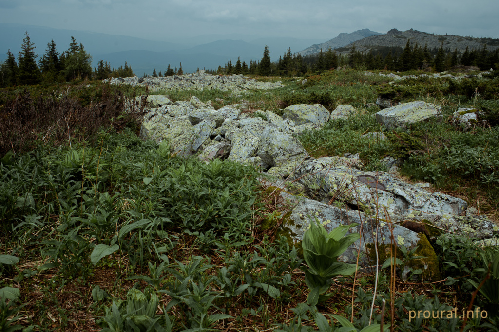 DSC_9184.jpg