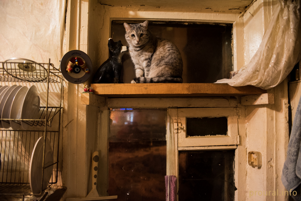 DSC_6437.jpg