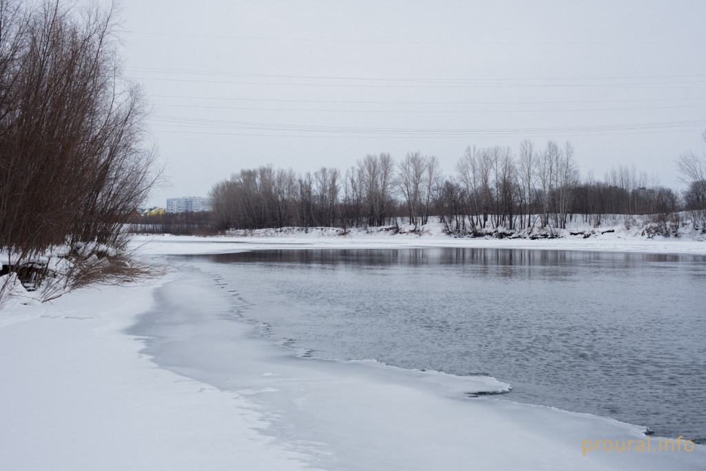 DSC_7209.jpg