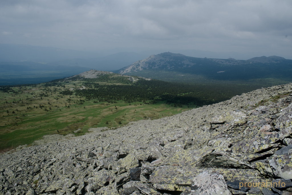 DSC_9222.jpg