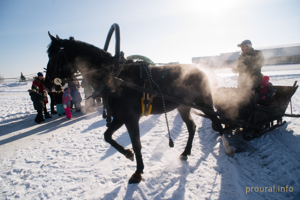 DSC_2171.jpg