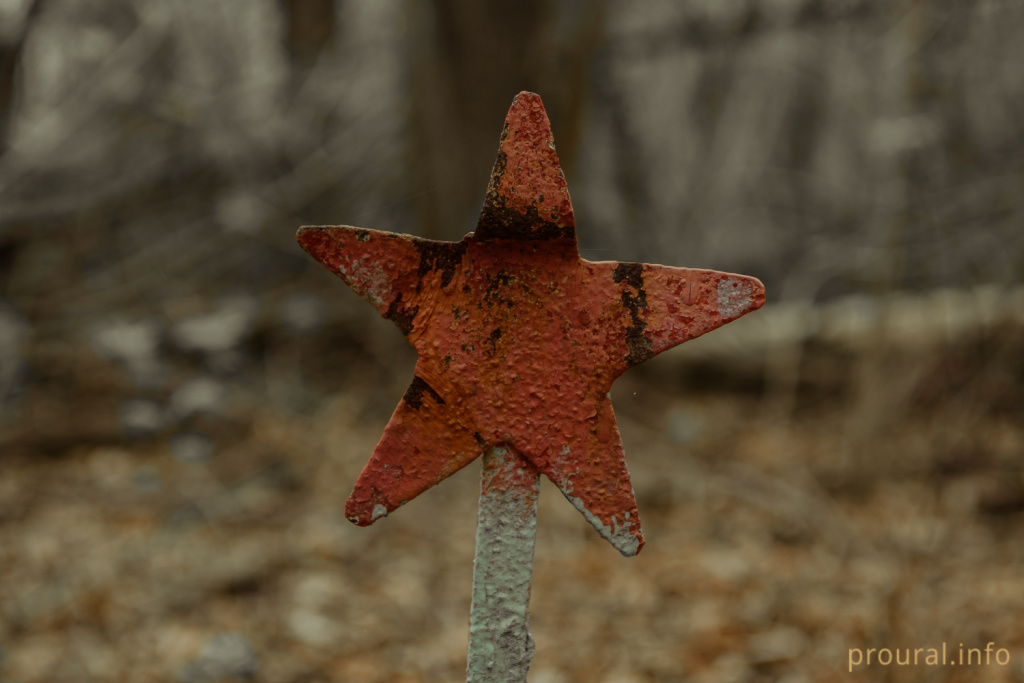 DSC_7179.jpg