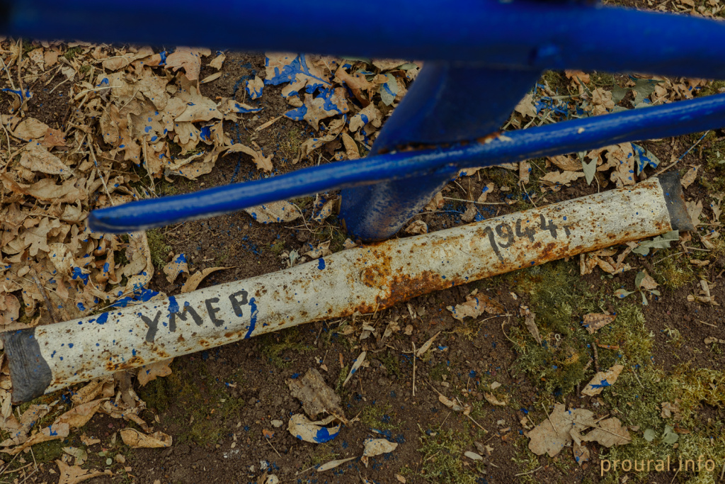 DSC_7141.jpg