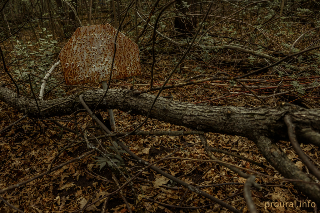 DSC_7198.jpg