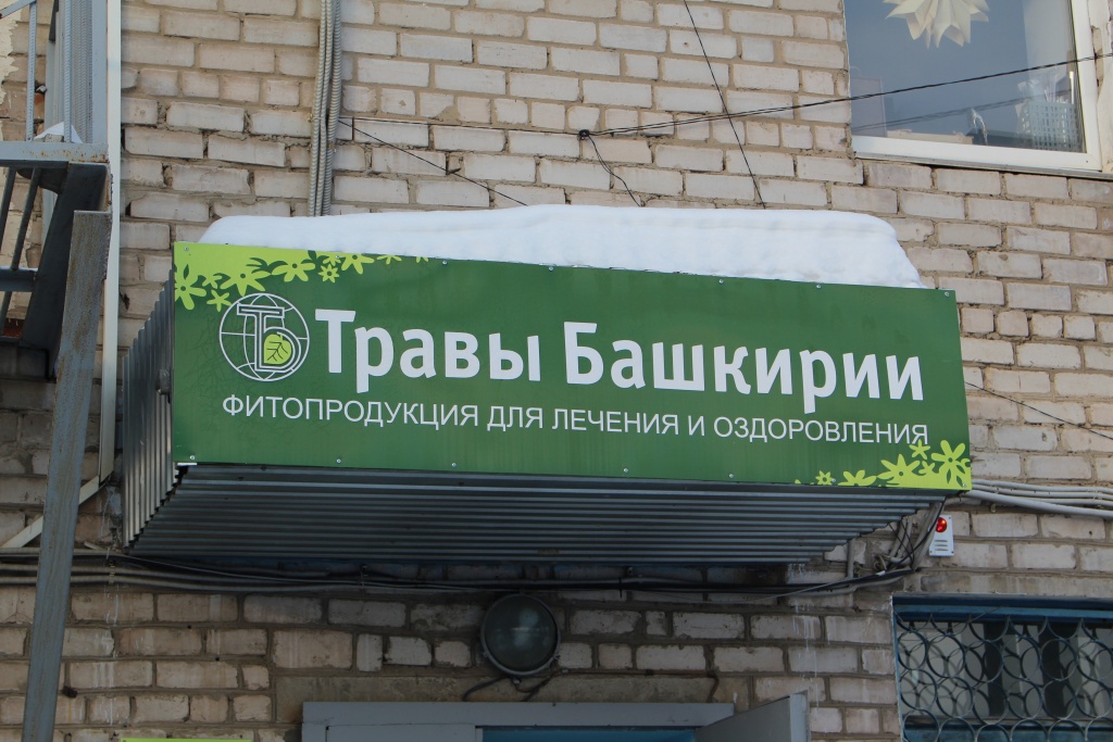 травы 2.JPG